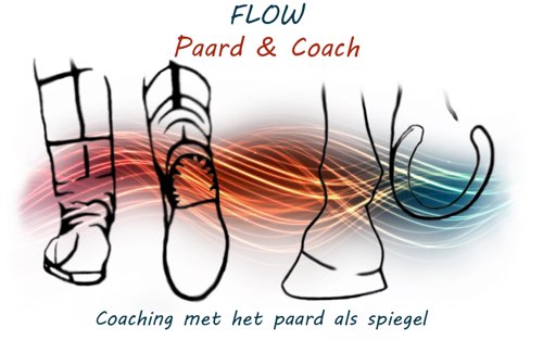 Logo FLOW Paard & Coach Apeldoorn